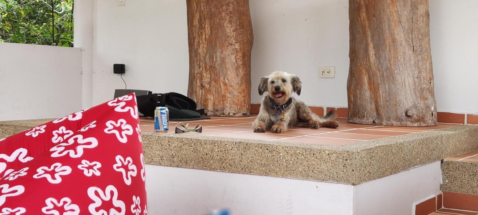 Hotel Campestre Mastranto Villavicencio Eksteriør billede